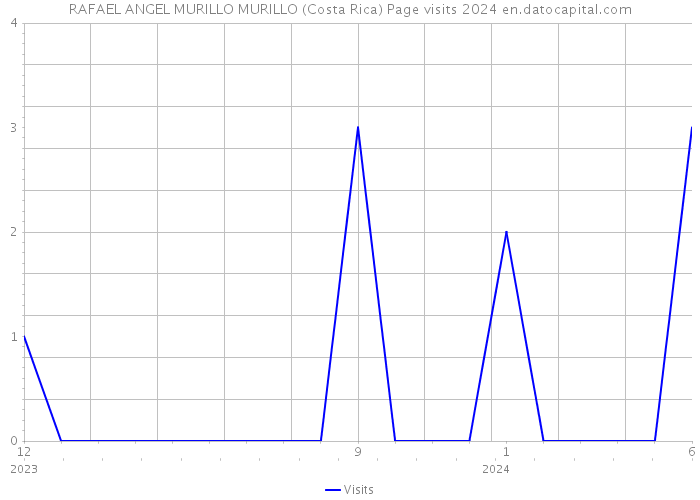 RAFAEL ANGEL MURILLO MURILLO (Costa Rica) Page visits 2024 