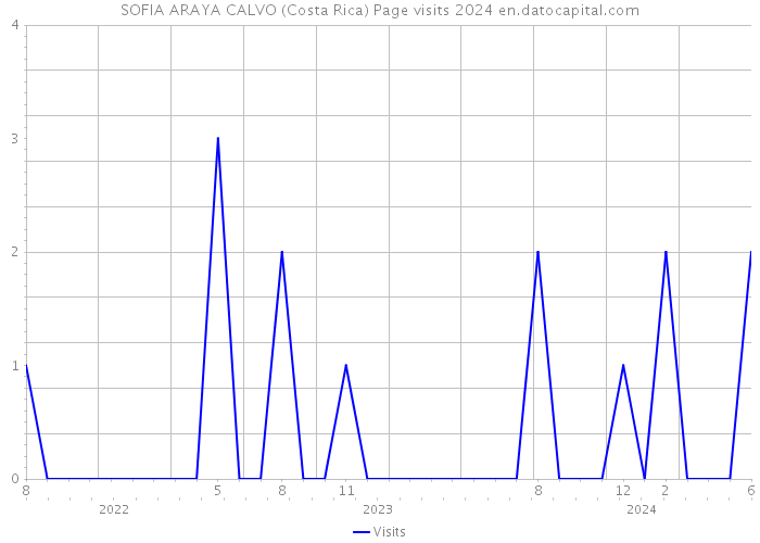 SOFIA ARAYA CALVO (Costa Rica) Page visits 2024 
