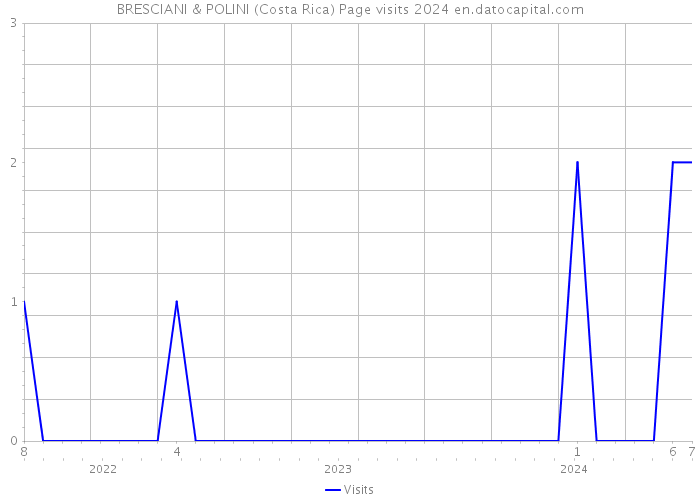BRESCIANI & POLINI (Costa Rica) Page visits 2024 