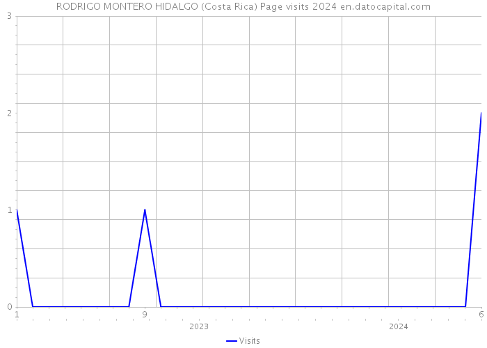 RODRIGO MONTERO HIDALGO (Costa Rica) Page visits 2024 