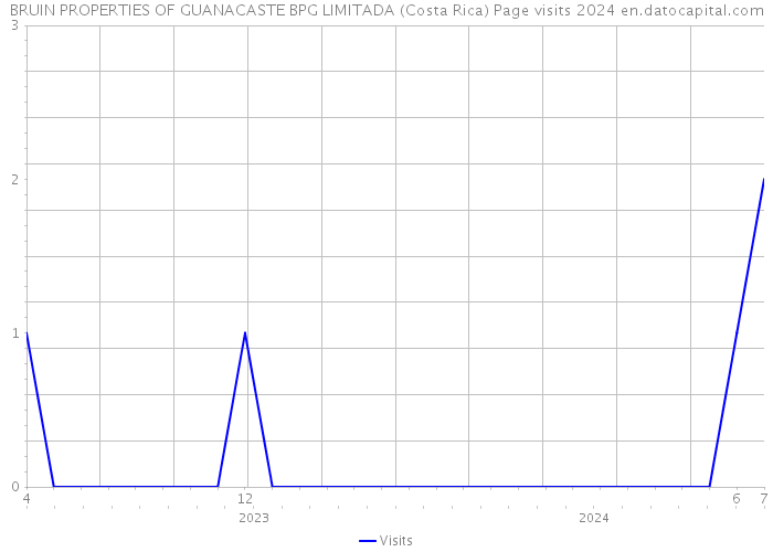 BRUIN PROPERTIES OF GUANACASTE BPG LIMITADA (Costa Rica) Page visits 2024 