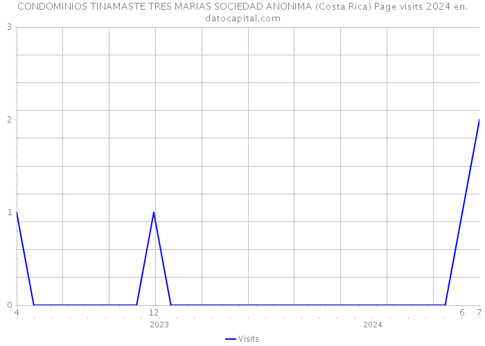 CONDOMINIOS TINAMASTE TRES MARIAS SOCIEDAD ANONIMA (Costa Rica) Page visits 2024 