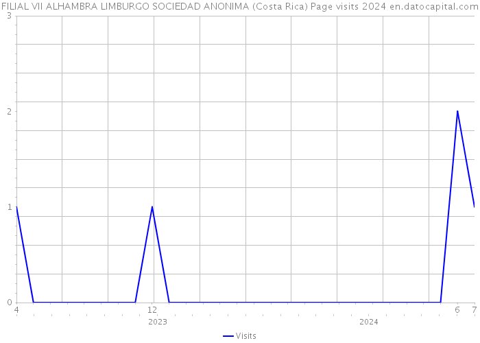 FILIAL VII ALHAMBRA LIMBURGO SOCIEDAD ANONIMA (Costa Rica) Page visits 2024 