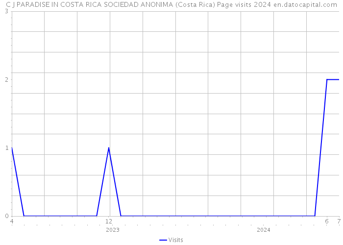 C J PARADISE IN COSTA RICA SOCIEDAD ANONIMA (Costa Rica) Page visits 2024 