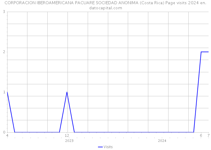 CORPORACION IBEROAMERICANA PACUARE SOCIEDAD ANONIMA (Costa Rica) Page visits 2024 