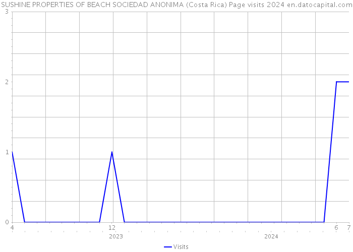 SUSHINE PROPERTIES OF BEACH SOCIEDAD ANONIMA (Costa Rica) Page visits 2024 