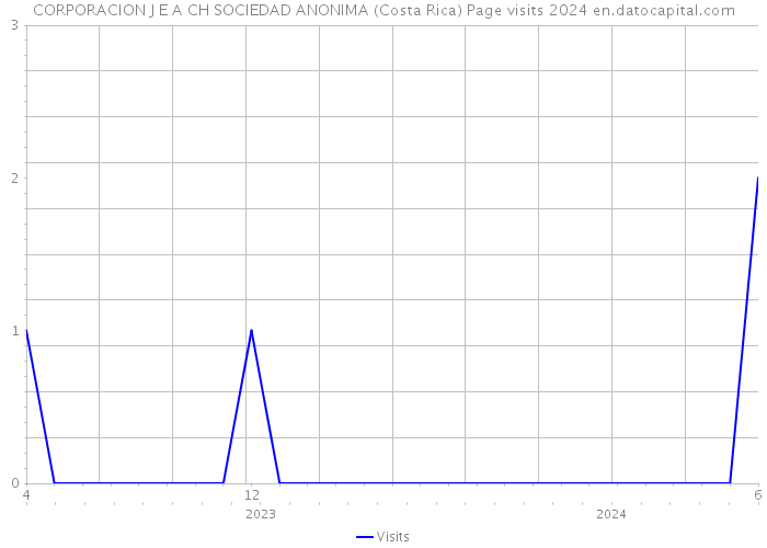 CORPORACION J E A CH SOCIEDAD ANONIMA (Costa Rica) Page visits 2024 
