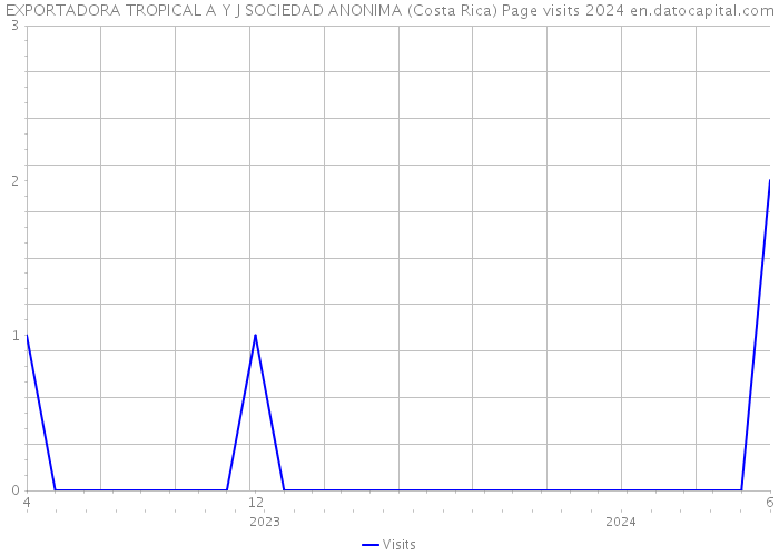 EXPORTADORA TROPICAL A Y J SOCIEDAD ANONIMA (Costa Rica) Page visits 2024 