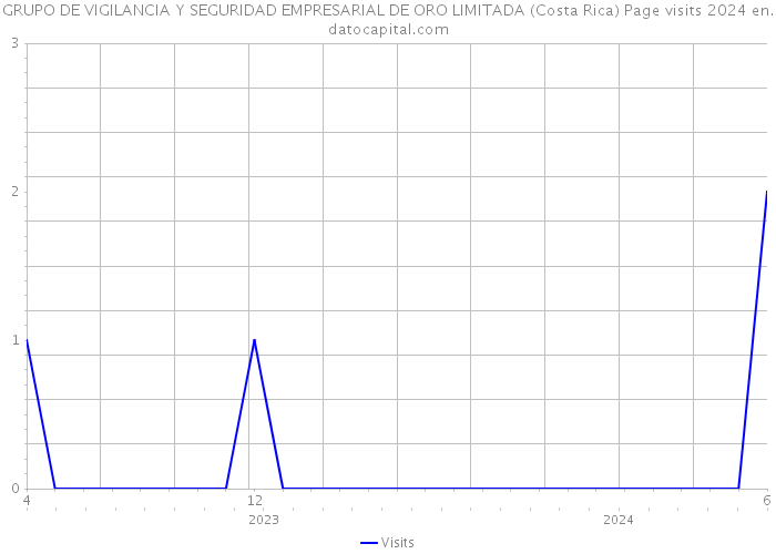 GRUPO DE VIGILANCIA Y SEGURIDAD EMPRESARIAL DE ORO LIMITADA (Costa Rica) Page visits 2024 