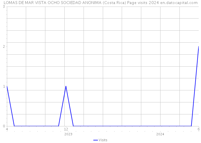 LOMAS DE MAR VISTA OCHO SOCIEDAD ANONIMA (Costa Rica) Page visits 2024 