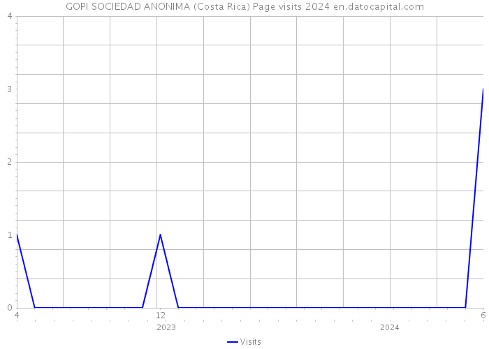 GOPI SOCIEDAD ANONIMA (Costa Rica) Page visits 2024 