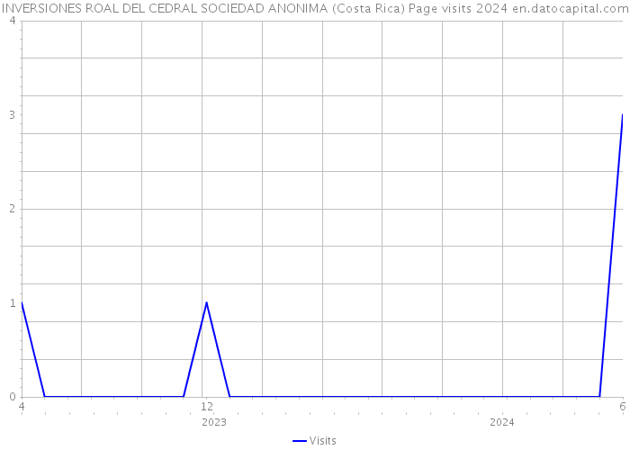 INVERSIONES ROAL DEL CEDRAL SOCIEDAD ANONIMA (Costa Rica) Page visits 2024 