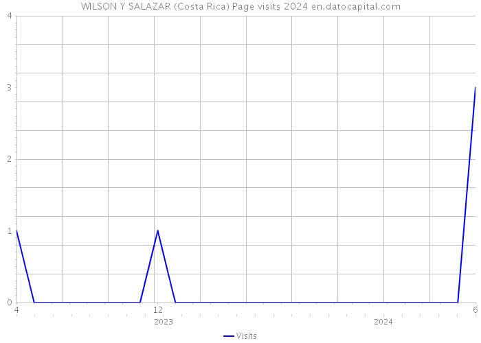 WILSON Y SALAZAR (Costa Rica) Page visits 2024 