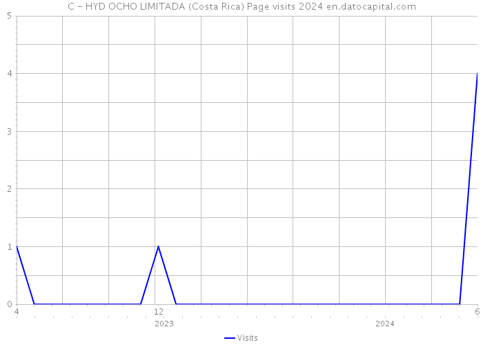 C - HYD OCHO LIMITADA (Costa Rica) Page visits 2024 