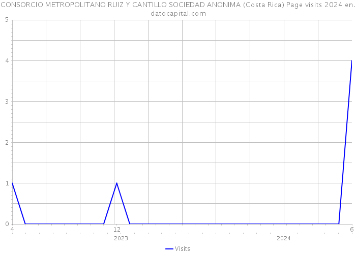 CONSORCIO METROPOLITANO RUIZ Y CANTILLO SOCIEDAD ANONIMA (Costa Rica) Page visits 2024 