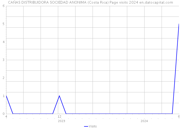 CAŃAS DISTRIBUIDORA SOCIEDAD ANONIMA (Costa Rica) Page visits 2024 