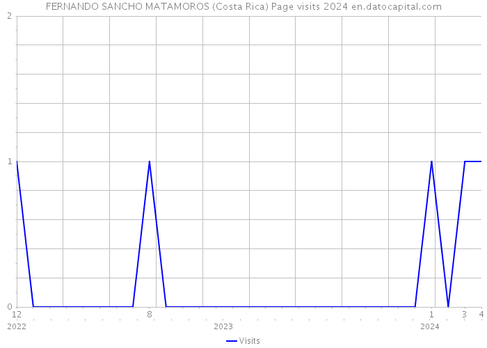 FERNANDO SANCHO MATAMOROS (Costa Rica) Page visits 2024 