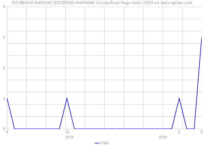 RIO BRAVO RANCHO SOCIEDAD ANONIMA (Costa Rica) Page visits 2024 