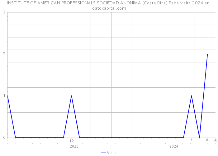 INSTITUTE OF AMERICAN PROFESSIONALS SOCIEDAD ANONIMA (Costa Rica) Page visits 2024 