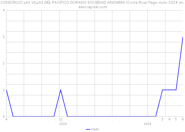 CONSORCIO LAS VILLAS DEL PACIFICO DORADO SOCIEDAD ANONIMA (Costa Rica) Page visits 2024 