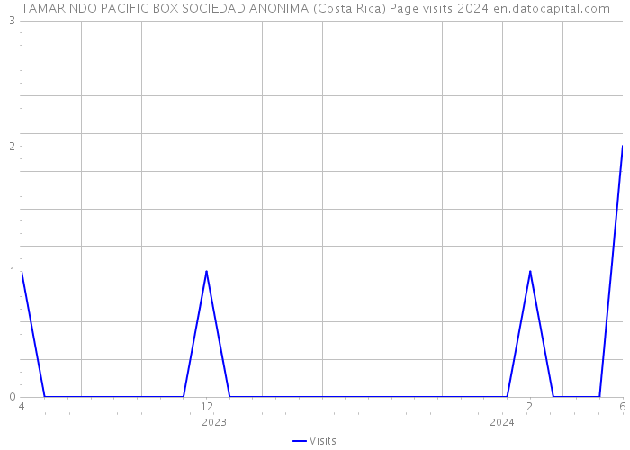 TAMARINDO PACIFIC BOX SOCIEDAD ANONIMA (Costa Rica) Page visits 2024 
