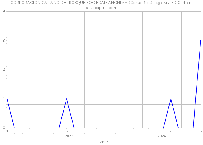 CORPORACION GALIANO DEL BOSQUE SOCIEDAD ANONIMA (Costa Rica) Page visits 2024 