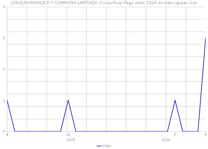 JOAQUIN MONGE R Y COMPAŃIA LIMITADA (Costa Rica) Page visits 2024 