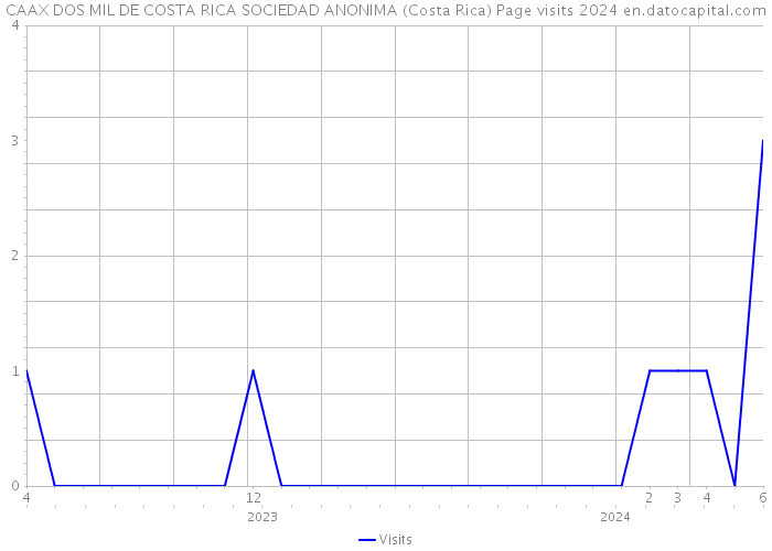 CAAX DOS MIL DE COSTA RICA SOCIEDAD ANONIMA (Costa Rica) Page visits 2024 