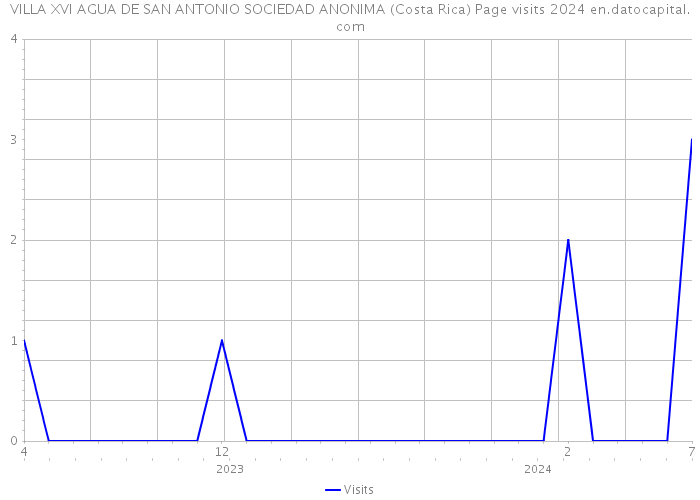 VILLA XVI AGUA DE SAN ANTONIO SOCIEDAD ANONIMA (Costa Rica) Page visits 2024 