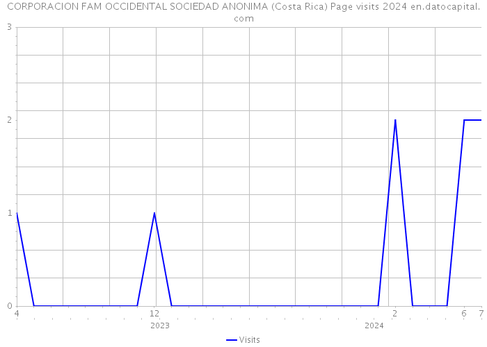 CORPORACION FAM OCCIDENTAL SOCIEDAD ANONIMA (Costa Rica) Page visits 2024 