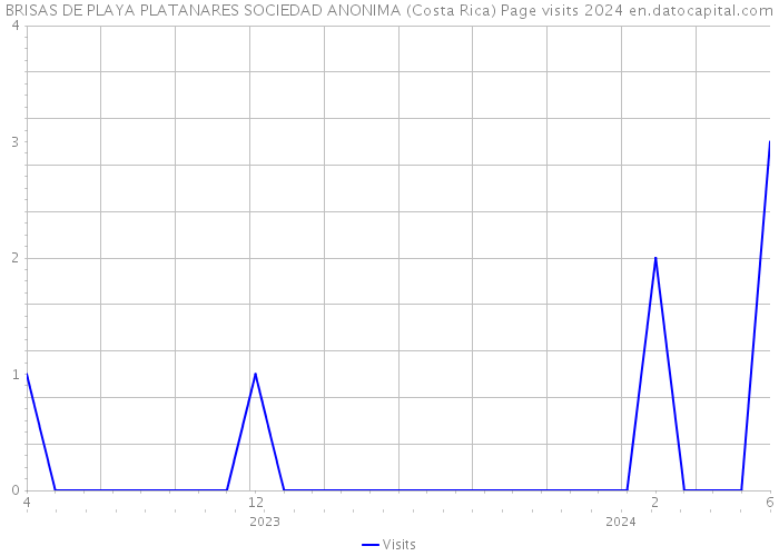 BRISAS DE PLAYA PLATANARES SOCIEDAD ANONIMA (Costa Rica) Page visits 2024 