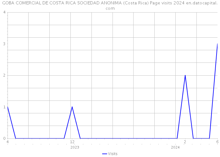 GOBA COMERCIAL DE COSTA RICA SOCIEDAD ANONIMA (Costa Rica) Page visits 2024 