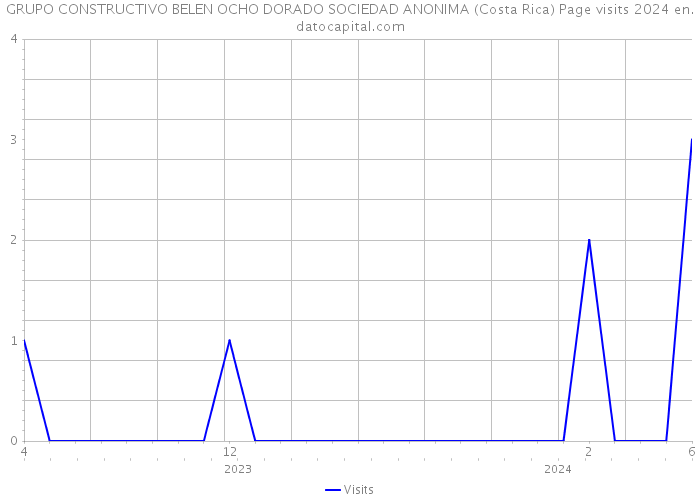 GRUPO CONSTRUCTIVO BELEN OCHO DORADO SOCIEDAD ANONIMA (Costa Rica) Page visits 2024 