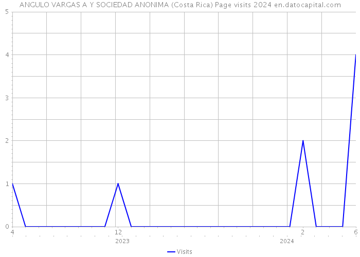 ANGULO VARGAS A Y SOCIEDAD ANONIMA (Costa Rica) Page visits 2024 