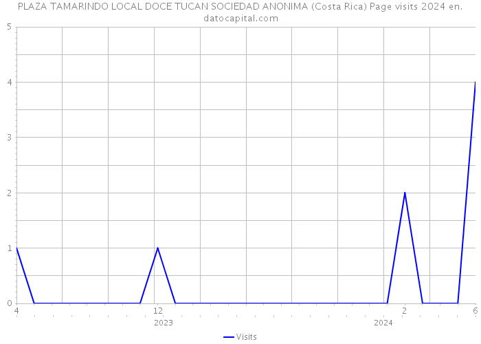 PLAZA TAMARINDO LOCAL DOCE TUCAN SOCIEDAD ANONIMA (Costa Rica) Page visits 2024 