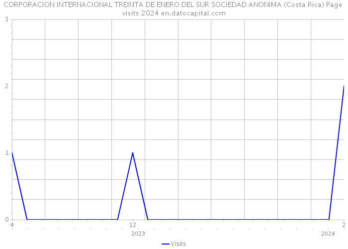 CORPORACION INTERNACIONAL TREINTA DE ENERO DEL SUR SOCIEDAD ANONIMA (Costa Rica) Page visits 2024 