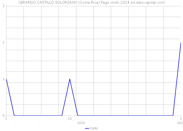 GERARDO CASTILLO SOLORZANO (Costa Rica) Page visits 2024 