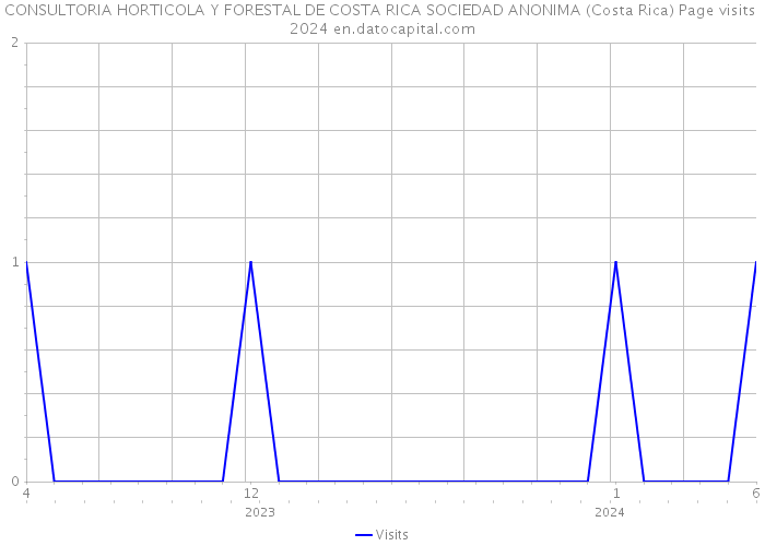 CONSULTORIA HORTICOLA Y FORESTAL DE COSTA RICA SOCIEDAD ANONIMA (Costa Rica) Page visits 2024 