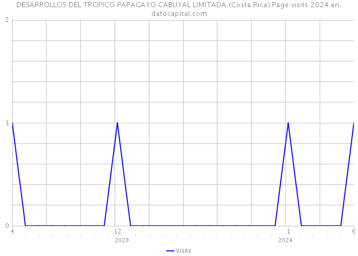 DESARROLLOS DEL TROPICO PAPAGAYO CABUYAL LIMITADA (Costa Rica) Page visits 2024 
