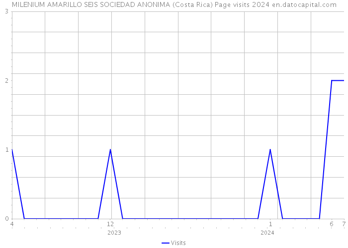 MILENIUM AMARILLO SEIS SOCIEDAD ANONIMA (Costa Rica) Page visits 2024 
