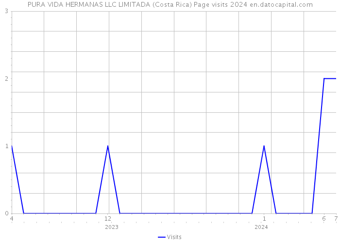 PURA VIDA HERMANAS LLC LIMITADA (Costa Rica) Page visits 2024 