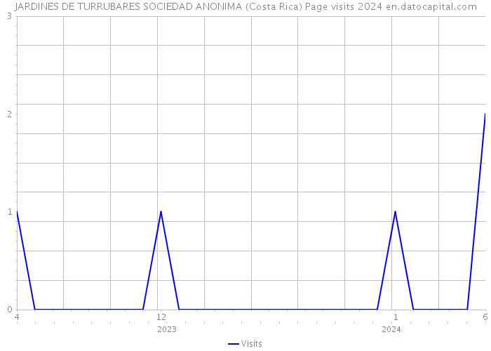 JARDINES DE TURRUBARES SOCIEDAD ANONIMA (Costa Rica) Page visits 2024 