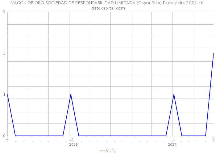 VAGON DE ORO SOCIEDAD DE RESPONSABILIDAD LIMITADA (Costa Rica) Page visits 2024 