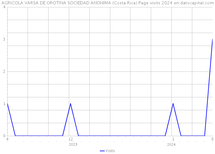 AGRICOLA VARSA DE OROTINA SOCIEDAD ANONIMA (Costa Rica) Page visits 2024 