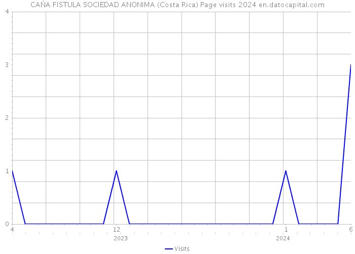 CAŃA FISTULA SOCIEDAD ANONIMA (Costa Rica) Page visits 2024 