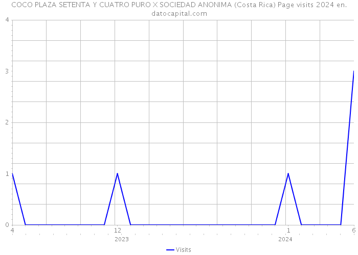 COCO PLAZA SETENTA Y CUATRO PURO X SOCIEDAD ANONIMA (Costa Rica) Page visits 2024 