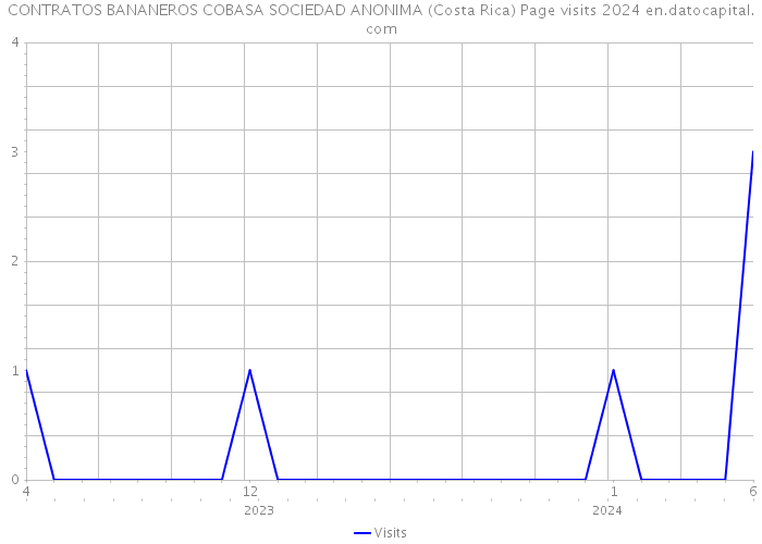CONTRATOS BANANEROS COBASA SOCIEDAD ANONIMA (Costa Rica) Page visits 2024 