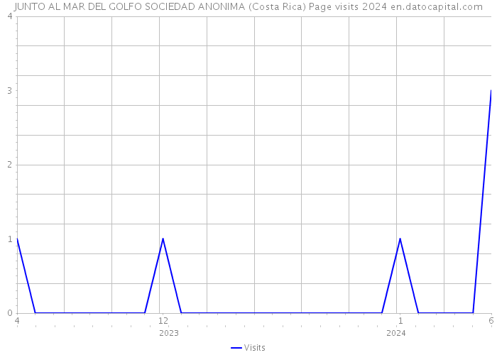 JUNTO AL MAR DEL GOLFO SOCIEDAD ANONIMA (Costa Rica) Page visits 2024 