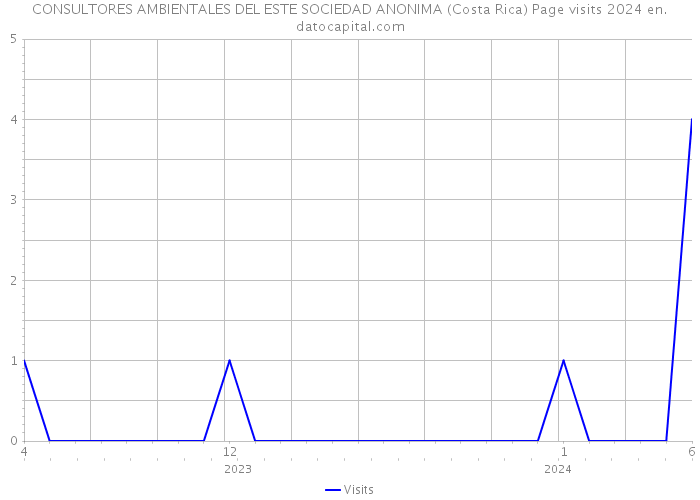CONSULTORES AMBIENTALES DEL ESTE SOCIEDAD ANONIMA (Costa Rica) Page visits 2024 