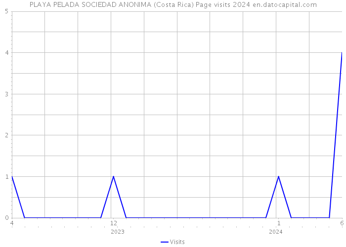 PLAYA PELADA SOCIEDAD ANONIMA (Costa Rica) Page visits 2024 